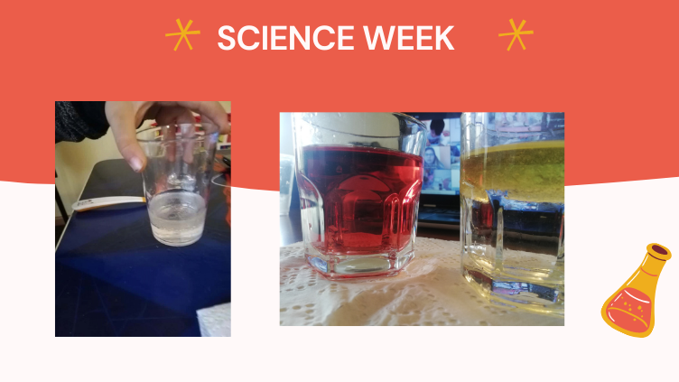 SCIENCE WEEK FIRST 1 (12)