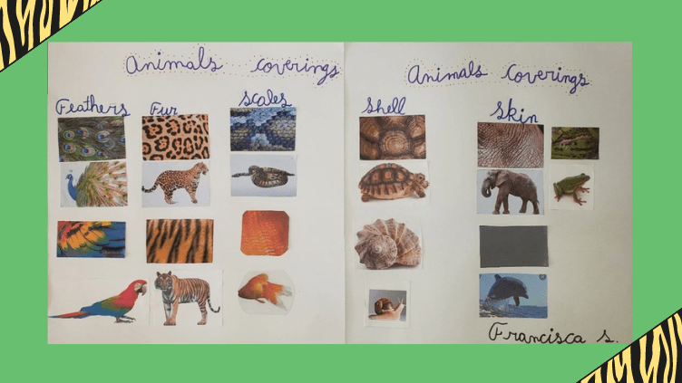 Animals Coverings 1 (7)