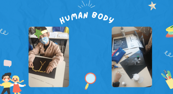 🦴Learning about the human body💀